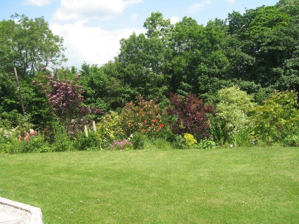 Hazelwood House Bed & Breakfast Bridgend  Dış mekan fotoğraf