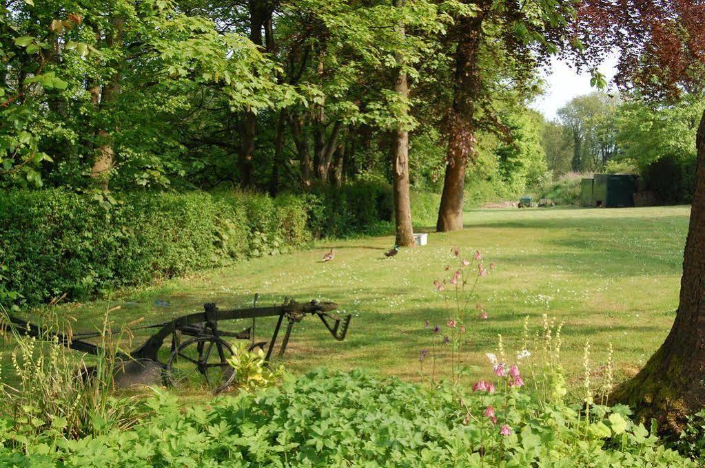 Hazelwood House Bed & Breakfast Bridgend  Dış mekan fotoğraf